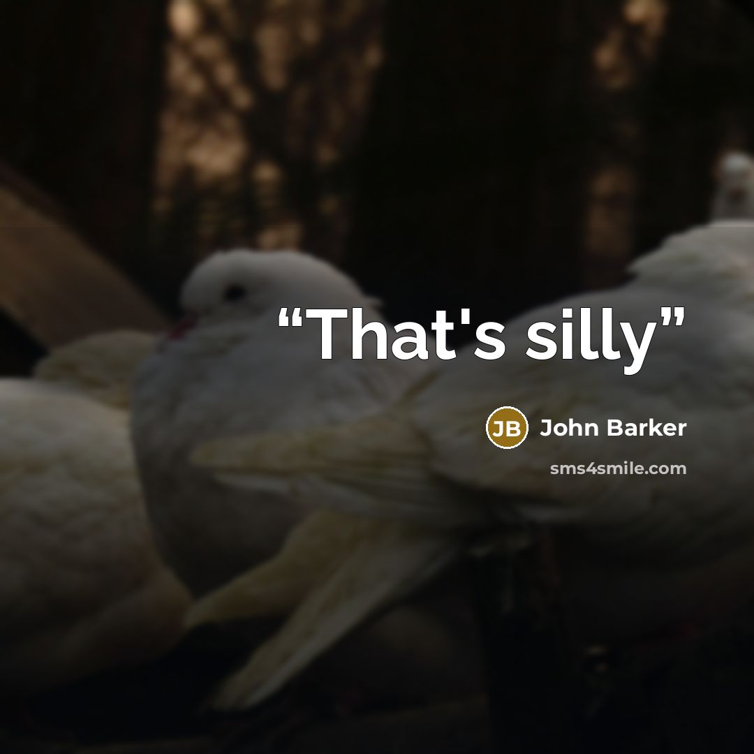 “That's silly” quote by John Barker
