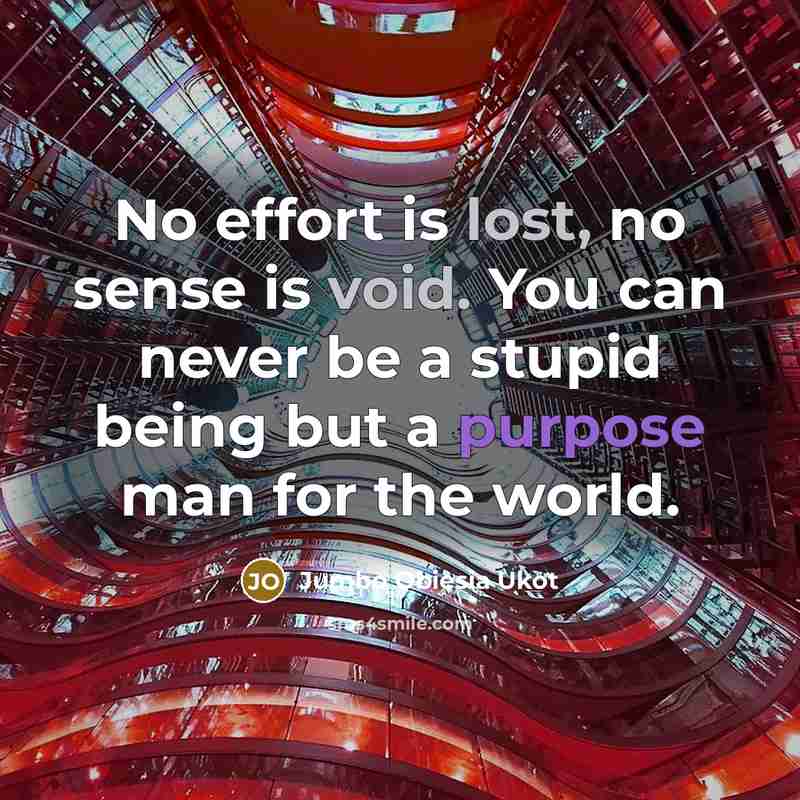 “No effort is lost, no sense is void. You can never be a stupid being but a purpose man for the world.” quote by Jumbo Obiesia Ukot