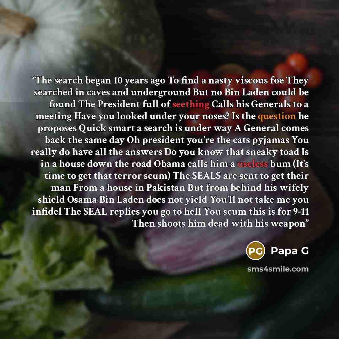 “The search began 10 years ago To find a nasty viscous foe They searched in caves and underground But no Bin Laden could be found The President full of seething Calls his Generals to a meeting Have you looked under your noses? Is the question he proposes Quick smart a search is under way A General…” quote by Papa G