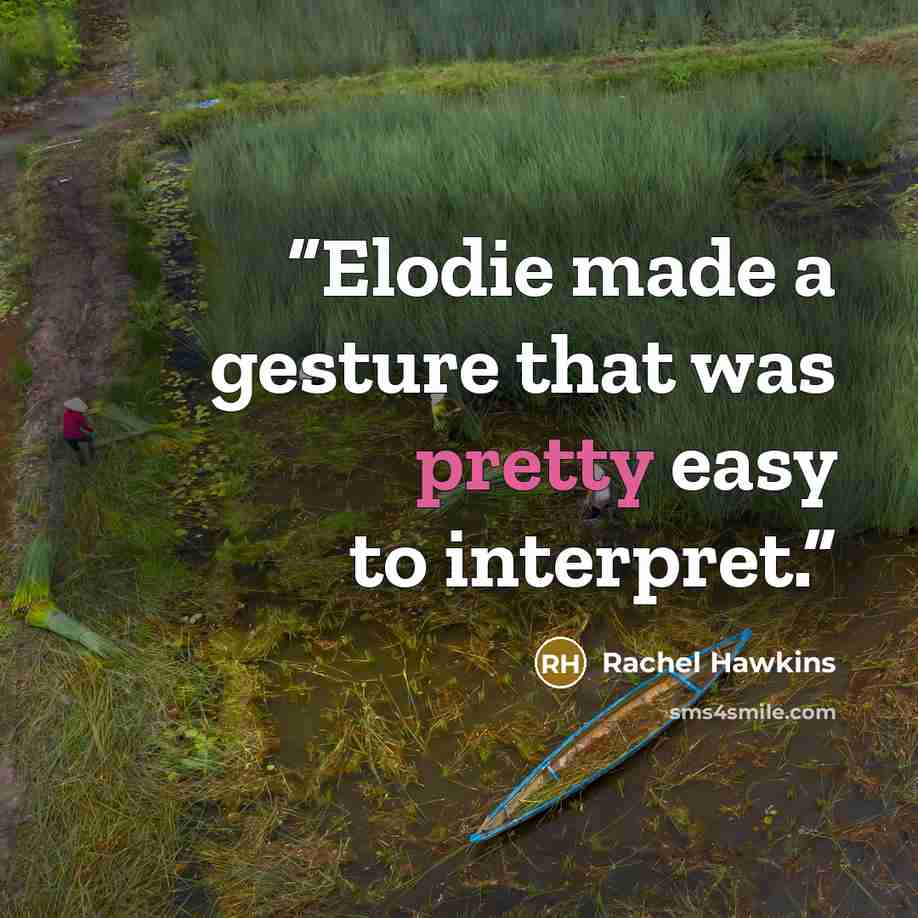 “Elodie made a gesture that was pretty easy to interpret.” quote by Rachel Hawkins