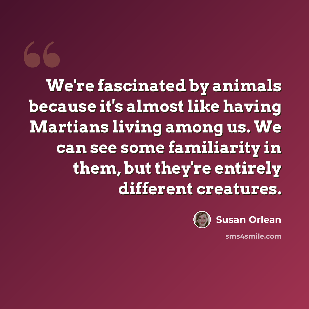 “We're fascinated by animals because it's almost like having Martians living among us. We can see some familiarity in them, but they're entirely different creatures.” quote by Susan Orlean