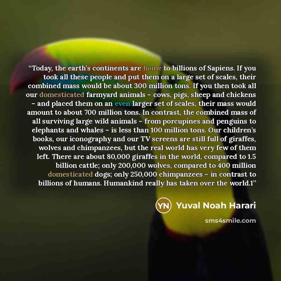 “Today, the earth’s continents are home to billions of Sapiens. If you took all these people and put them on a large set of scales, their combined mass would be about 300 million tons. If you then took all our domesticated farmyard animals – cows, pigs, sheep and chickens – and placed them on an…” quote by Yuval Noah Harari