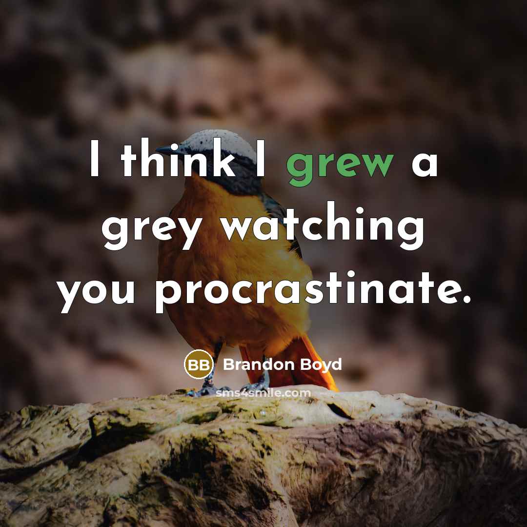 “I think I grew a grey watching you procrastinate.” quote by Brandon Boyd