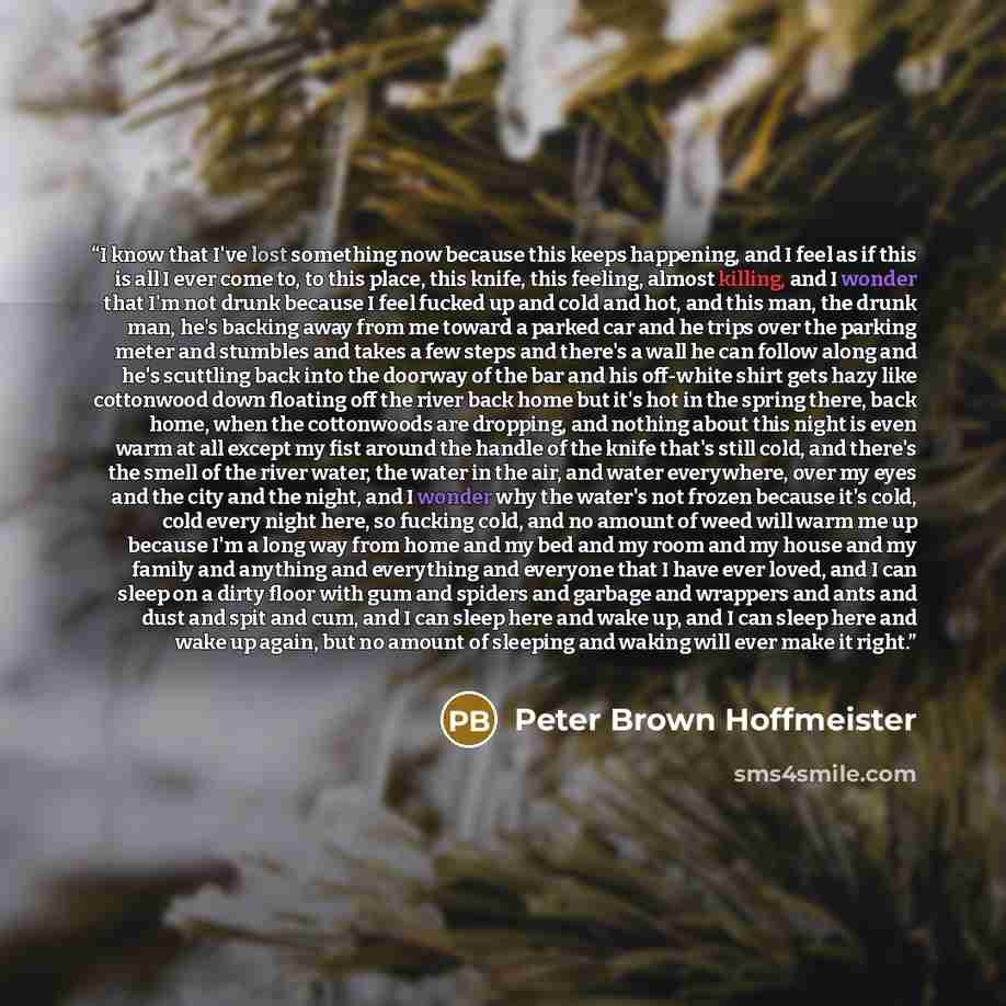 “I know that I've lost something now because this keeps happening, and I feel as if this is all I ever come to, to this place, this knife, this feeling, almost killing, and I wonder that I'm not drunk because I feel fucked up and cold and hot, and this man, the drunk man, he's backing away from me…” quote by Peter Brown Hoffmeister