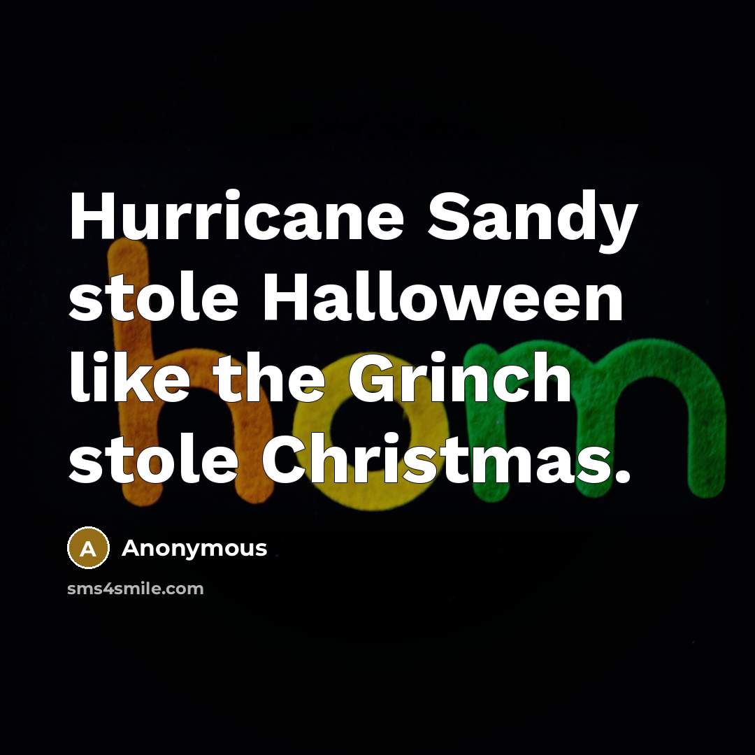 “Hurricane Sandy stole Halloween like the Grinch stole Christmas.” quote by Anonymous