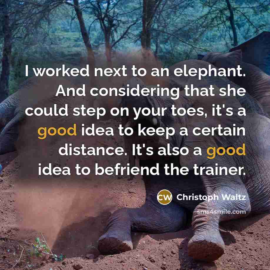 “I worked next to an elephant. And considering that she could step on your toes, it's a good idea to keep a certain distance. It's also a good idea to befriend the trainer.” quote by Christoph Waltz
