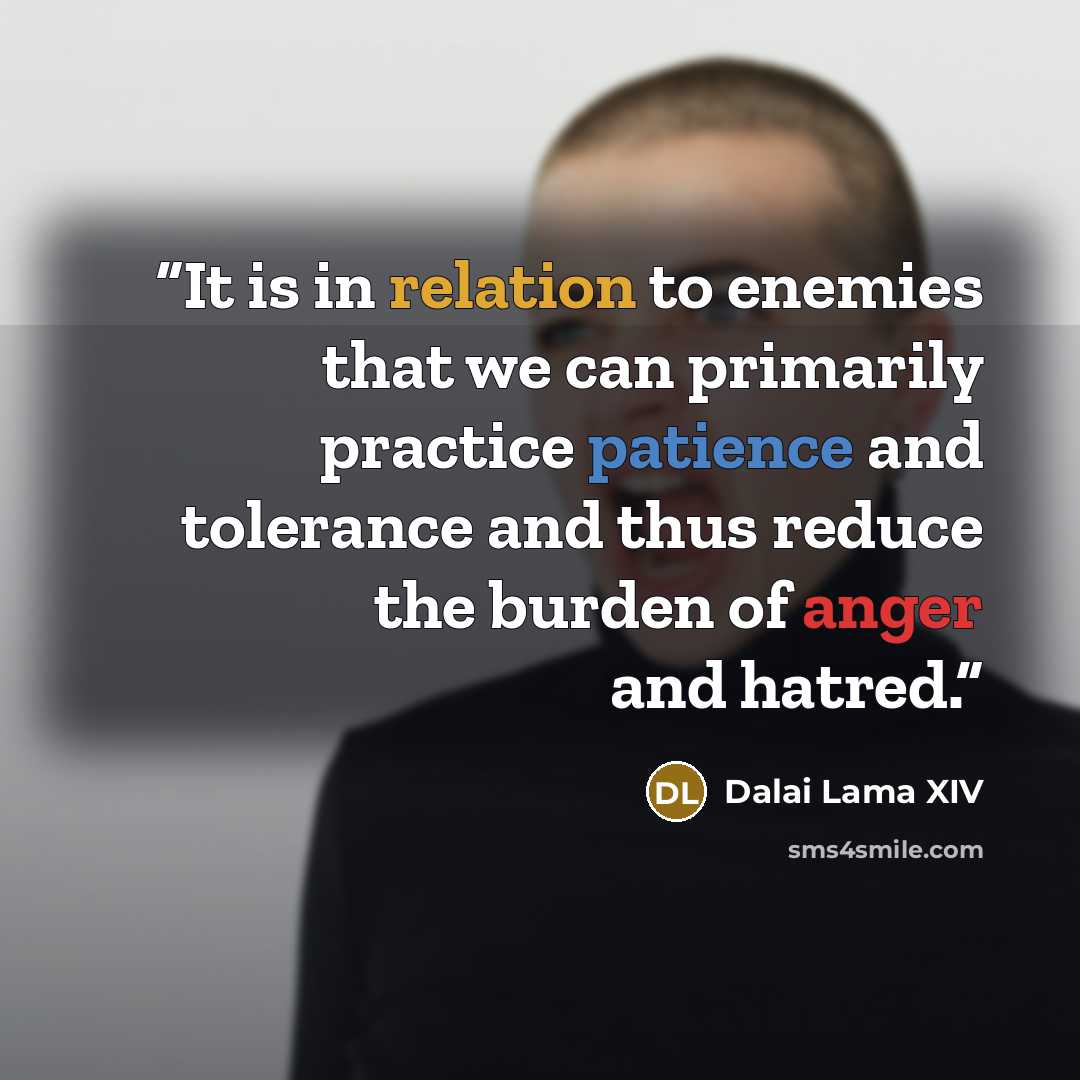 “It is in relation to enemies that we can primarily practice patience and tolerance and thus reduce the burden of anger and hatred.” quote by Dalai Lama XIV