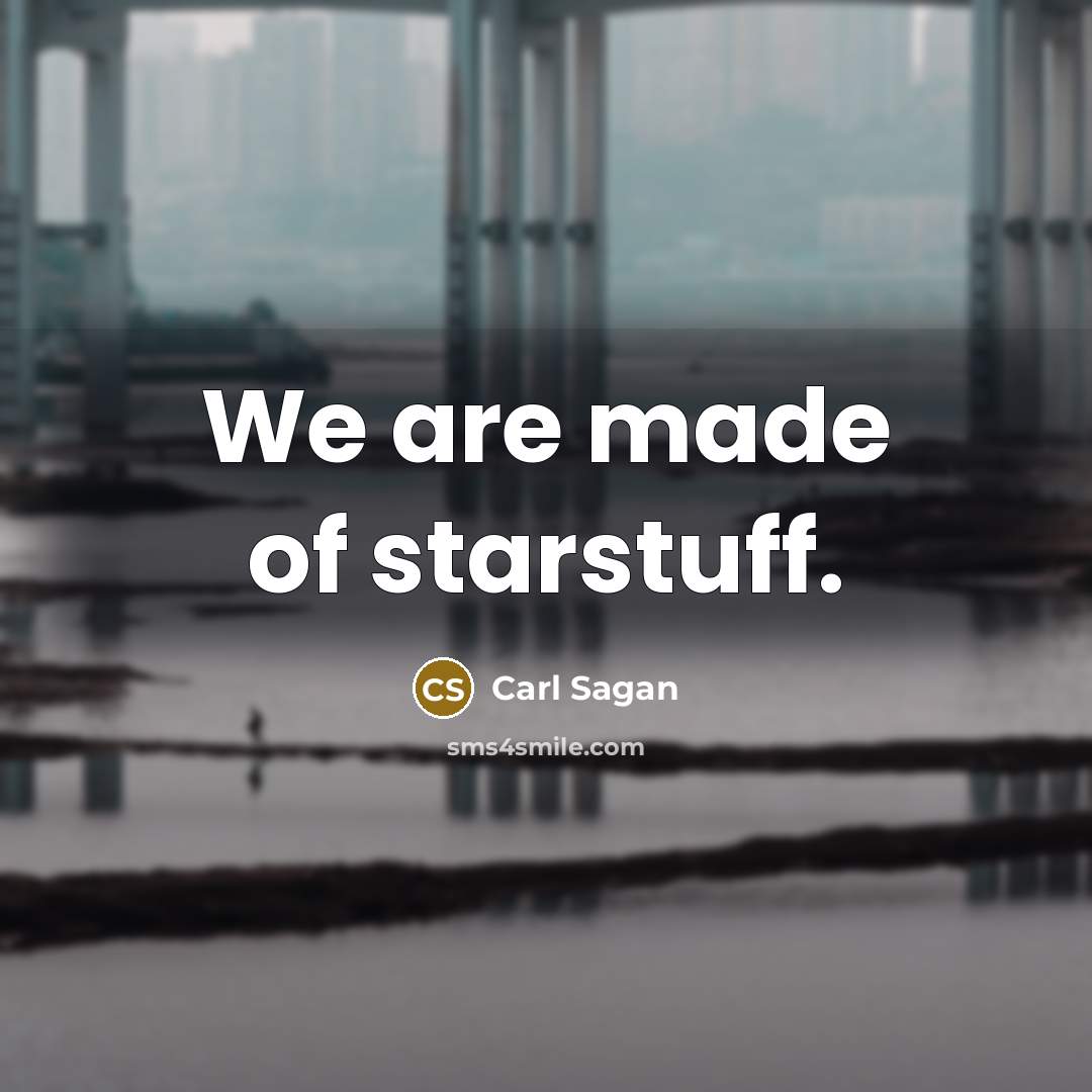 “We are made of starstuff.” quote by Carl Sagan