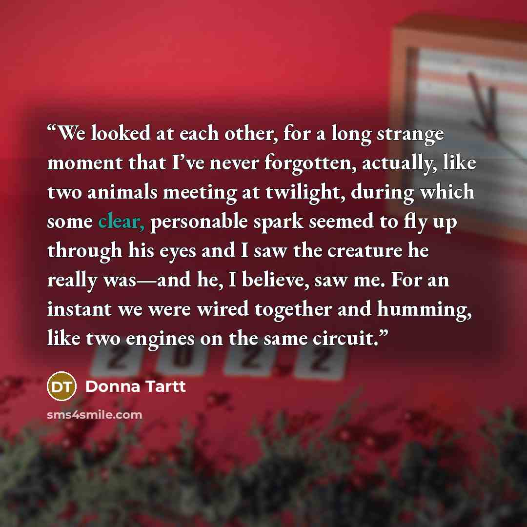 “We looked at each other, for a long strange moment that I’ve never forgotten, actually, like two animals meeting at twilight, during which some clear, personable spark seemed to fly up through his eyes and I saw the creature he really was—and he, I believe, saw me. For an instant we were wired…” quote by Donna Tartt