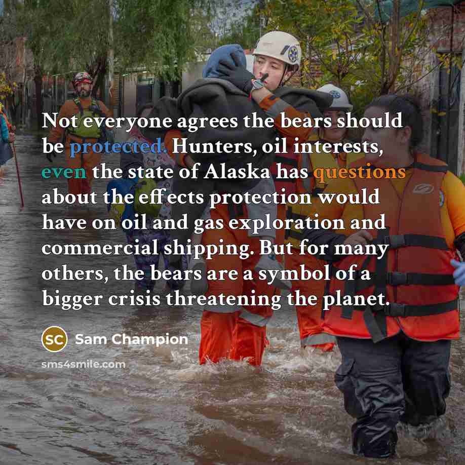 “Not everyone agrees the bears should be protected. Hunters, oil interests, even the state of Alaska has questions about the effects protection would have on oil and gas exploration and commercial shipping. But for many others, the bears are a symbol of a bigger crisis threatening the planet.” quote by Sam Champion