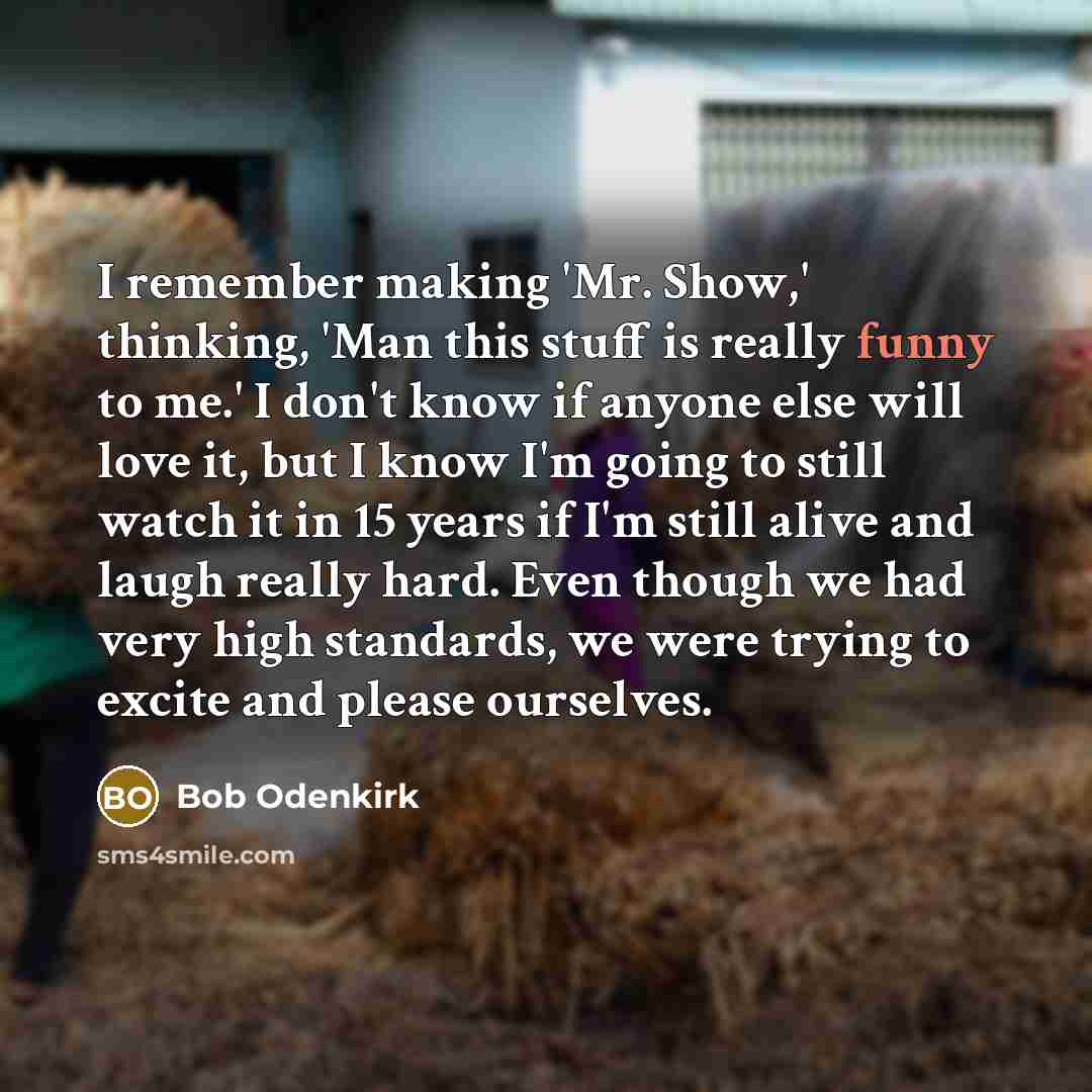 “I remember making 'Mr. Show,' thinking, 'Man this stuff is really funny to me.' I don't know if anyone else will love it, but I know I'm going to still watch it in 15 years if I'm still alive and laugh really hard. Even though we had very high standards, we were trying to excite and please…” quote by Bob Odenkirk