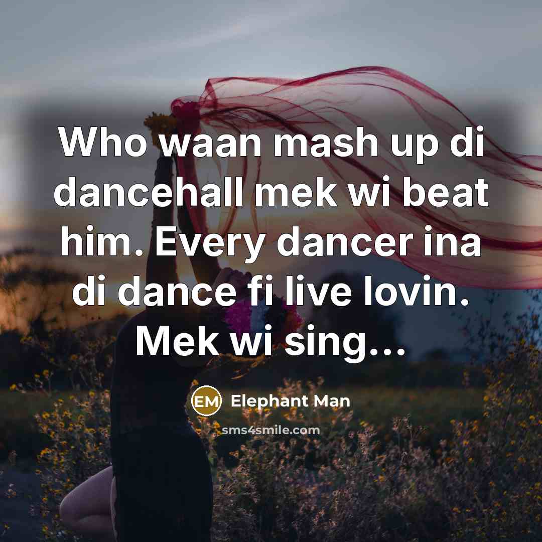 “Who waan mash up di dancehall mek wi beat him. Every dancer ina di dance fi live lovin. Mek wi sing...” quote by Elephant Man