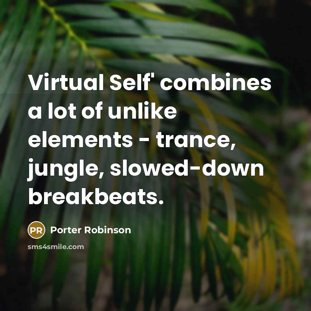 “Virtual Self' combines a lot of unlike elements - trance, jungle, slowed-down breakbeats.” quote by Porter Robinson