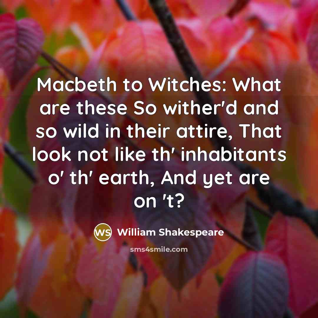 “Macbeth to Witches: What are these So wither'd and so wild in their attire, That look not like th' inhabitants o' th' earth, And yet are on 't?” quote by William Shakespeare
