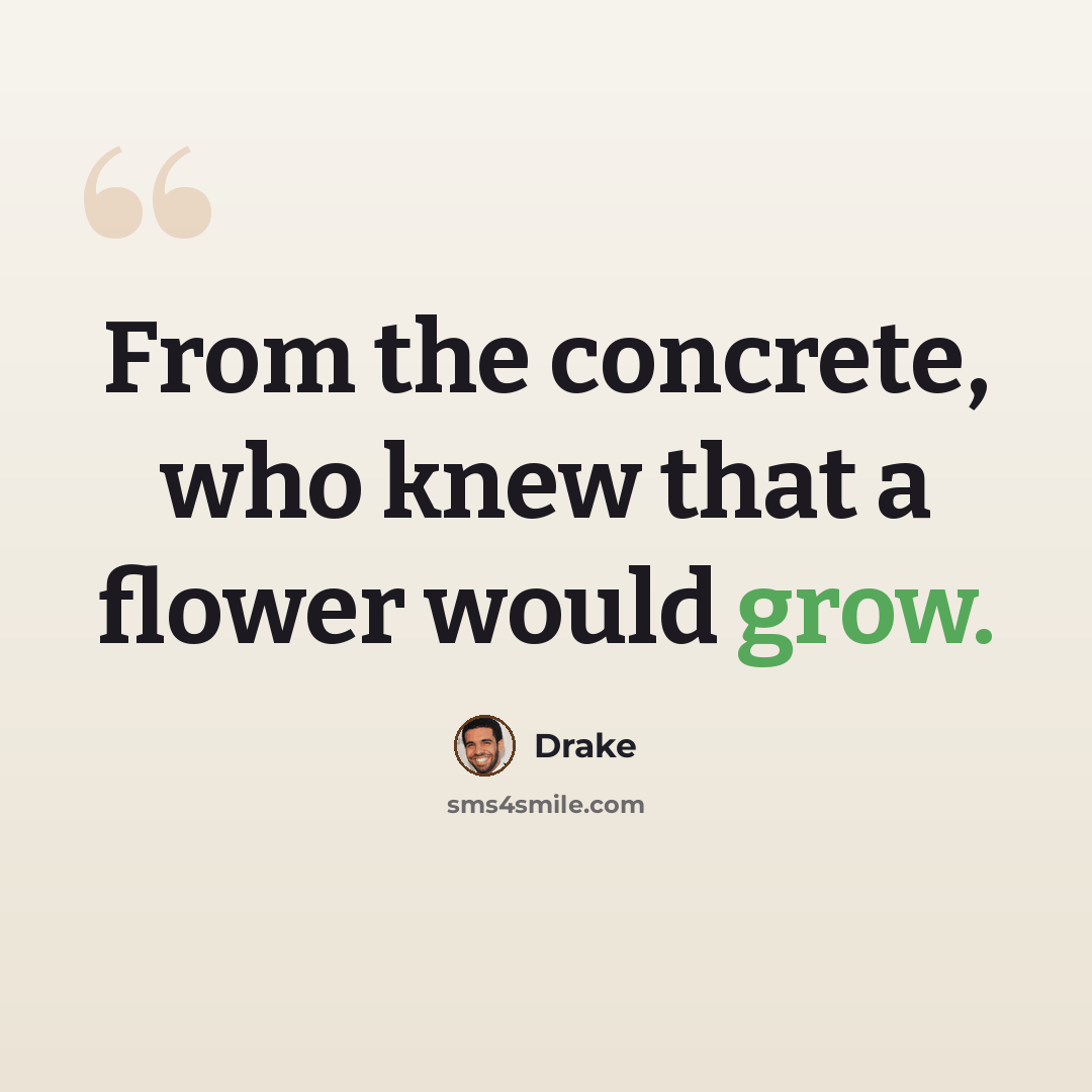 “From the concrete, who knew that a flower would grow.” quote by Drake