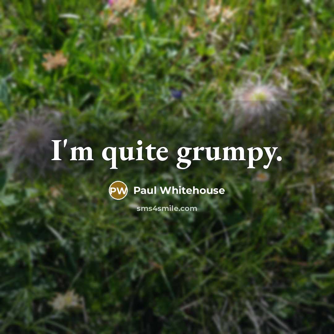 “I'm quite grumpy.” quote by Paul Whitehouse