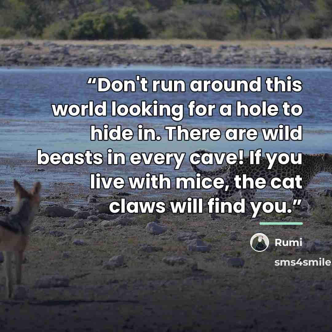 “Don't run around this world looking for a hole to hide in. There are wild beasts in every cave! If you live with mice, the cat claws will find you.” quote by Rumi