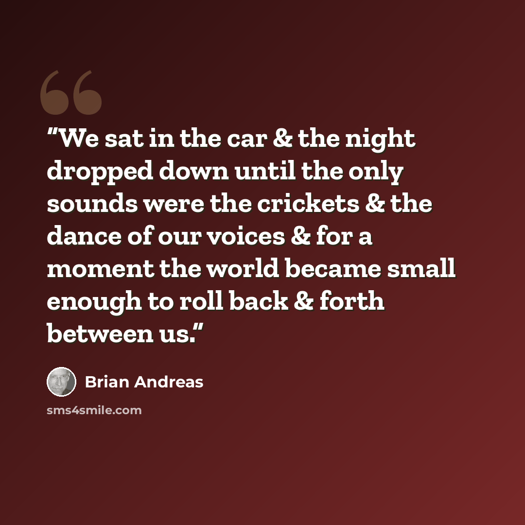 “We sat in the car & the night dropped down until the only sounds were the crickets & the dance of our voices & for a moment the world became small enough to roll back & forth between us.” quote by Brian Andreas