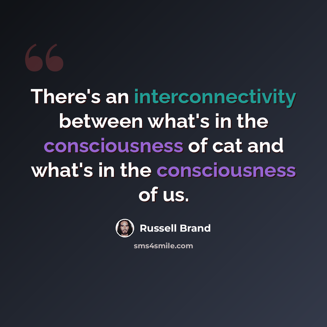 “There's an interconnectivity between what's in the consciousness of cat and what's in the consciousness of us.” quote by Russell Brand