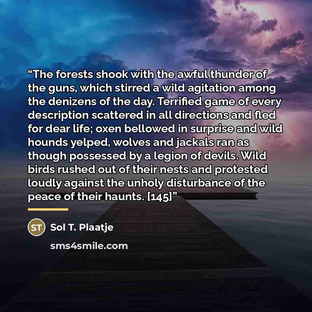 “The forests shook with the awful thunder of the guns, which stirred a wild agitation among the denizens of the day. Terrified game of every description scattered in all directions and fled for dear life; oxen bellowed in surprise and wild hounds yelped, wolves and jackals ran as though possessed…” quote by Sol T. Plaatje