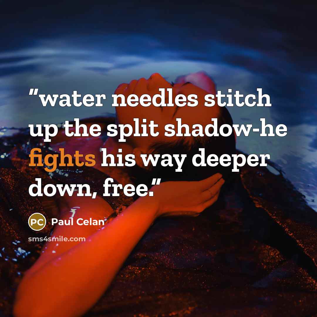 “water needles stitch up the split shadow-he fights his way deeper down, free.” quote by Paul Celan