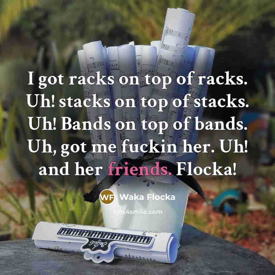 “I got racks on top of racks. Uh! stacks on top of stacks. Uh! Bands on top of bands. Uh, got me fuckin her. Uh! and her friends. Flocka!” quote by Waka Flocka