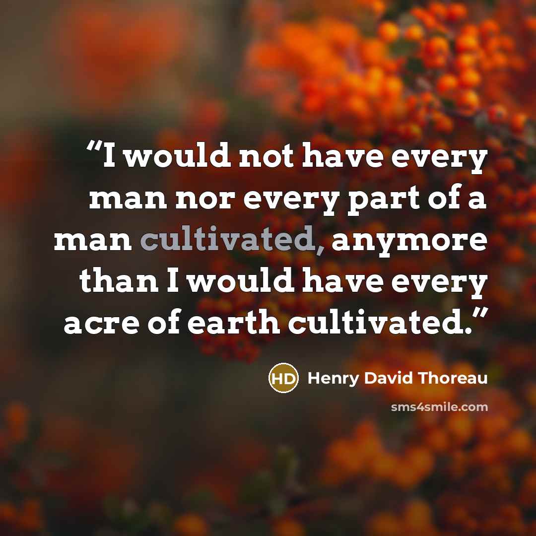 “I would not have every man nor every part of a man cultivated, anymore than I would have every acre of earth cultivated.” quote by Henry David Thoreau