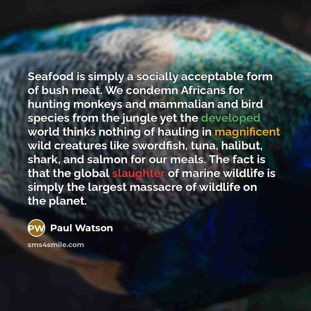 “Seafood is simply a socially acceptable form of bush meat. We condemn Africans for hunting monkeys and mammalian and bird species from the jungle yet the developed world thinks nothing of hauling in magnificent wild creatures like swordfish, tuna, halibut, shark, and salmon for our meals. The fact…” quote by Paul Watson