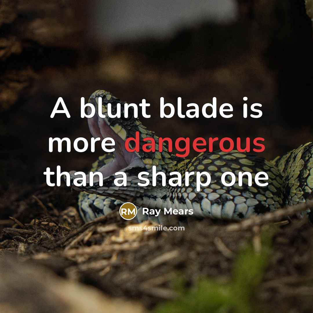 “A blunt blade is more dangerous than a sharp one” quote by Ray Mears