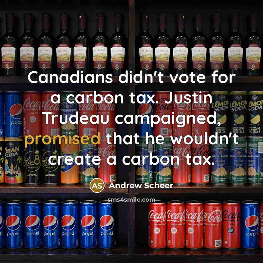 “Canadians didn't vote for a carbon tax. Justin Trudeau campaigned, promised that he wouldn't create a carbon tax.” quote by Andrew Scheer