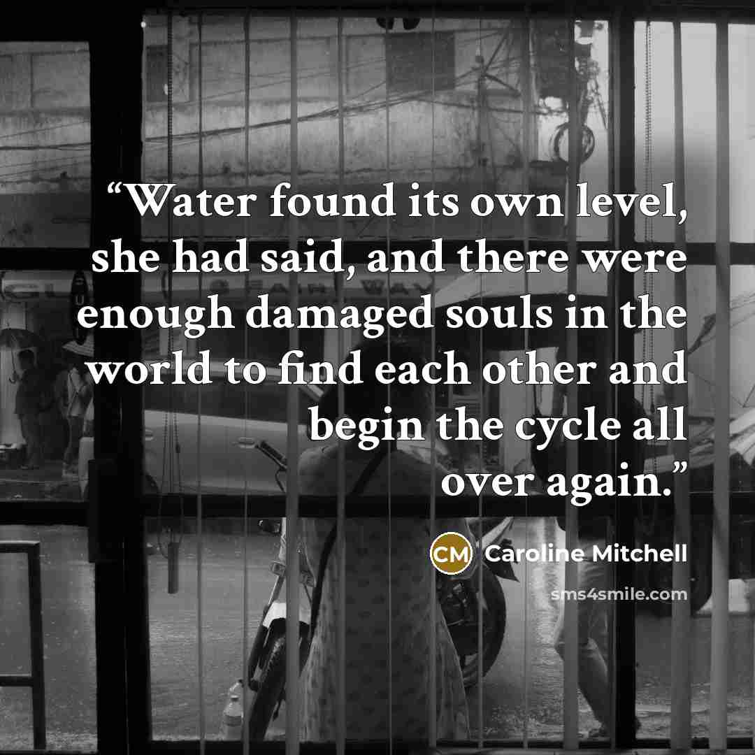 “Water found its own level, she had said, and there were enough damaged souls in the world to find each other and begin the cycle all over again.” quote by Caroline Mitchell