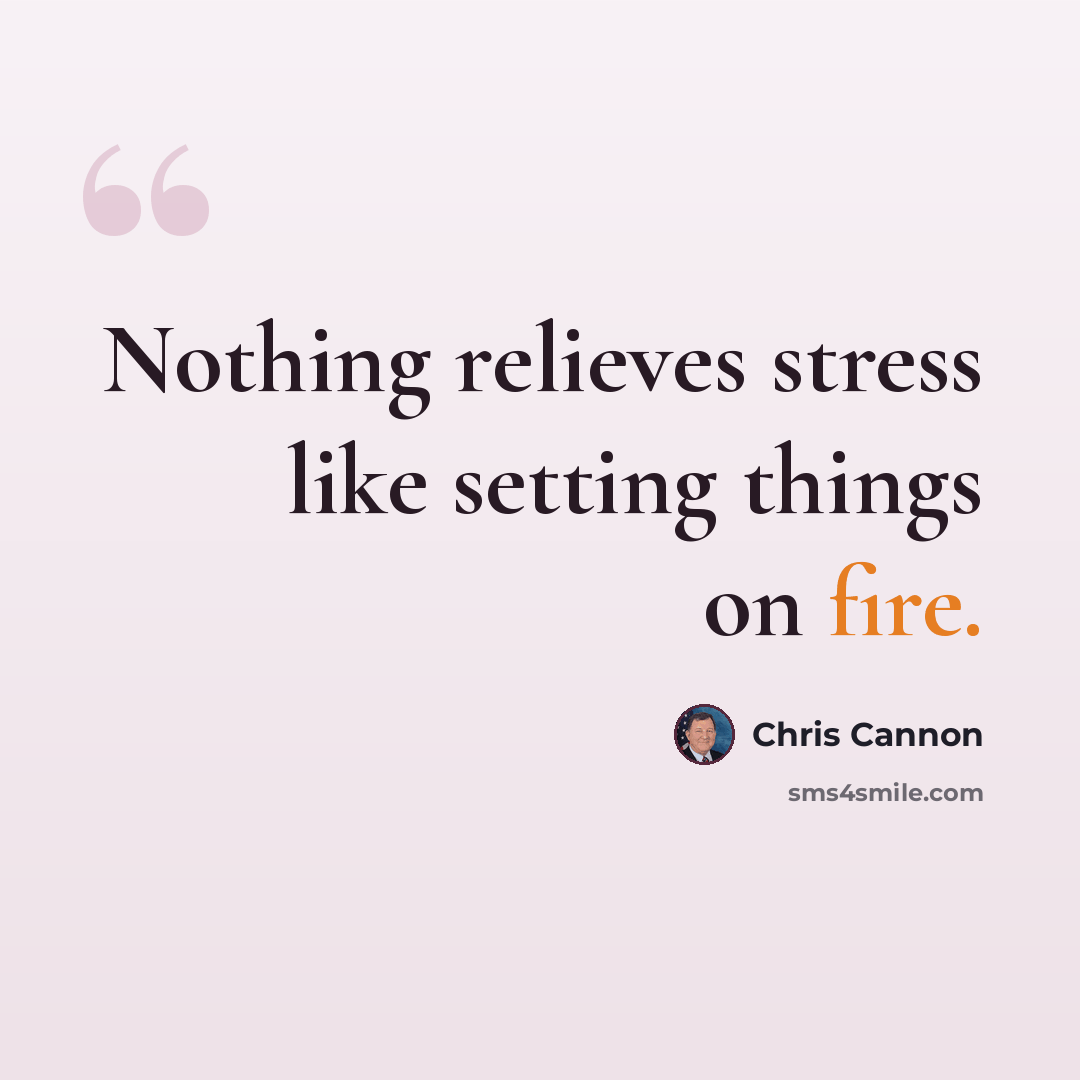 “Nothing relieves stress like setting things on fire.” quote by Chris Cannon