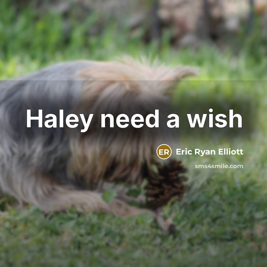 “Haley need a wish” quote by Eric Ryan Elliott