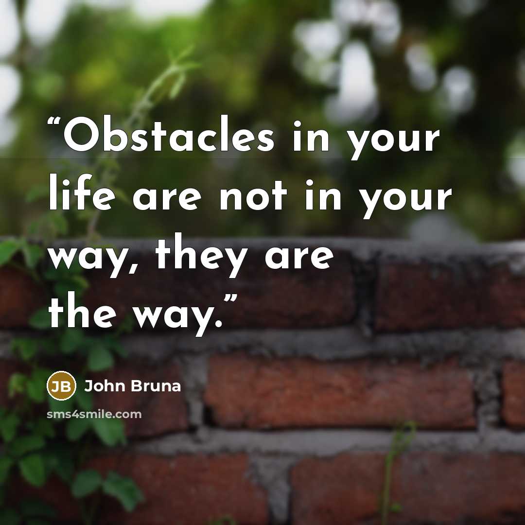 “Obstacles in your life are not in your way, they are the way.” quote by John Bruna