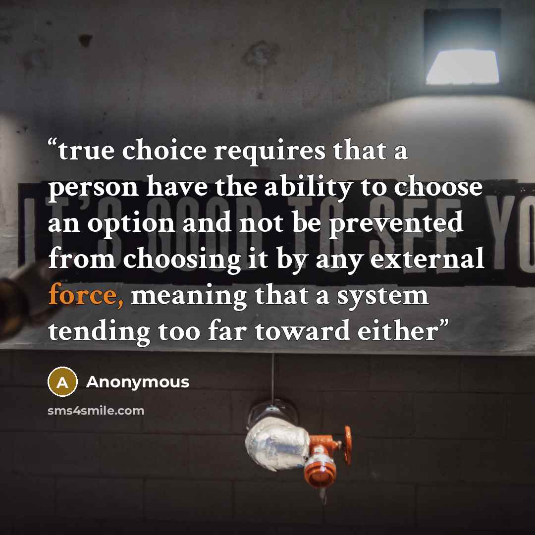 “true choice requires that a person have the ability to choose an option and not be prevented from choosing it by any external force, meaning that a system tending too far toward either” quote by Anonymous