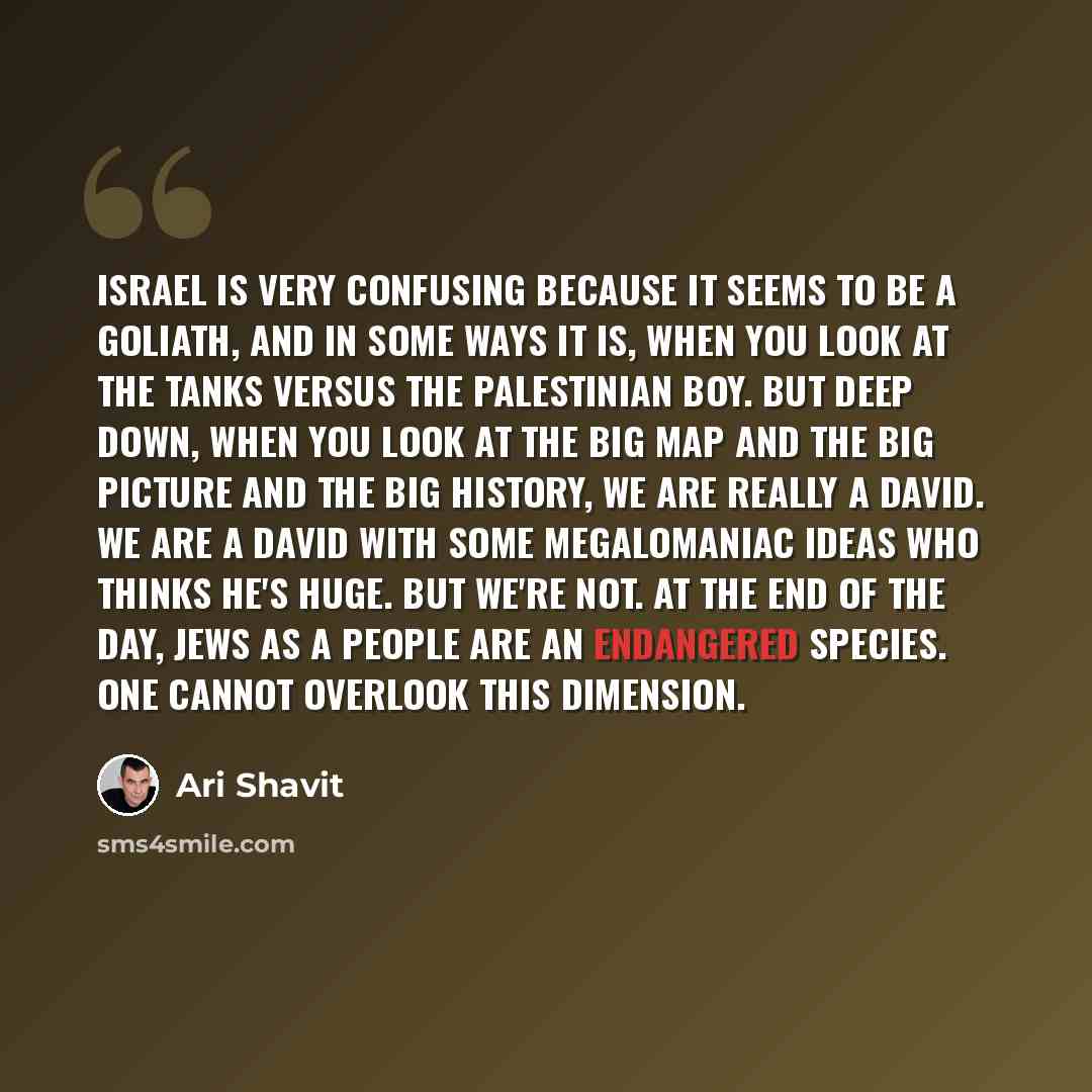 “Israel is very confusing because it seems to be a Goliath, and in some ways it is, when you look at the tanks versus the Palestinian boy. But deep down, when you look at the big map and the big picture and the big history, we are really a David. We are a David with some megalomaniac ideas who…” quote by Ari Shavit