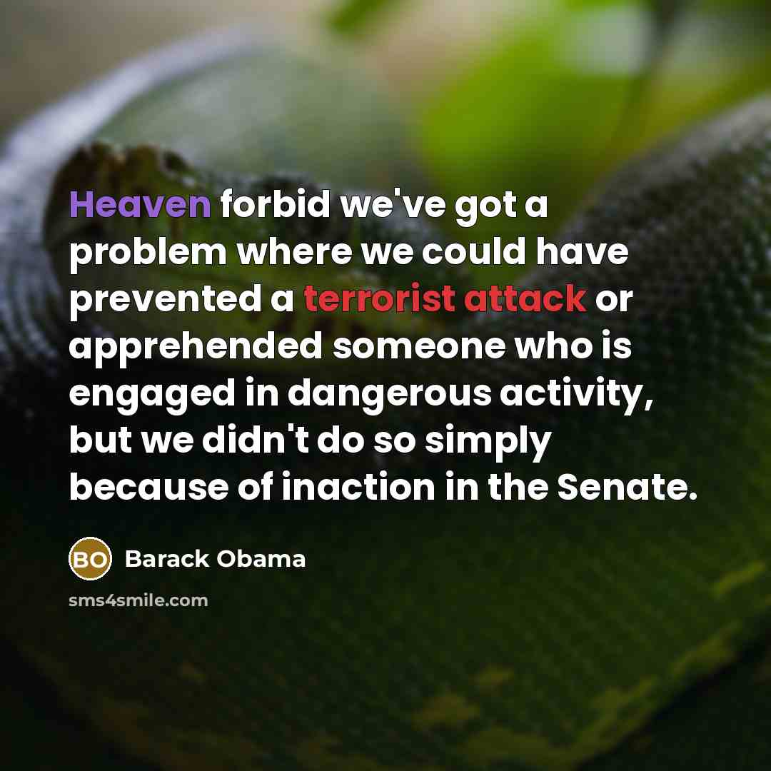 “Heaven forbid we've got a problem where we could have prevented a terrorist attack or apprehended someone who is engaged in dangerous activity, but we didn't do so simply because of inaction in the Senate.” quote by Barack Obama