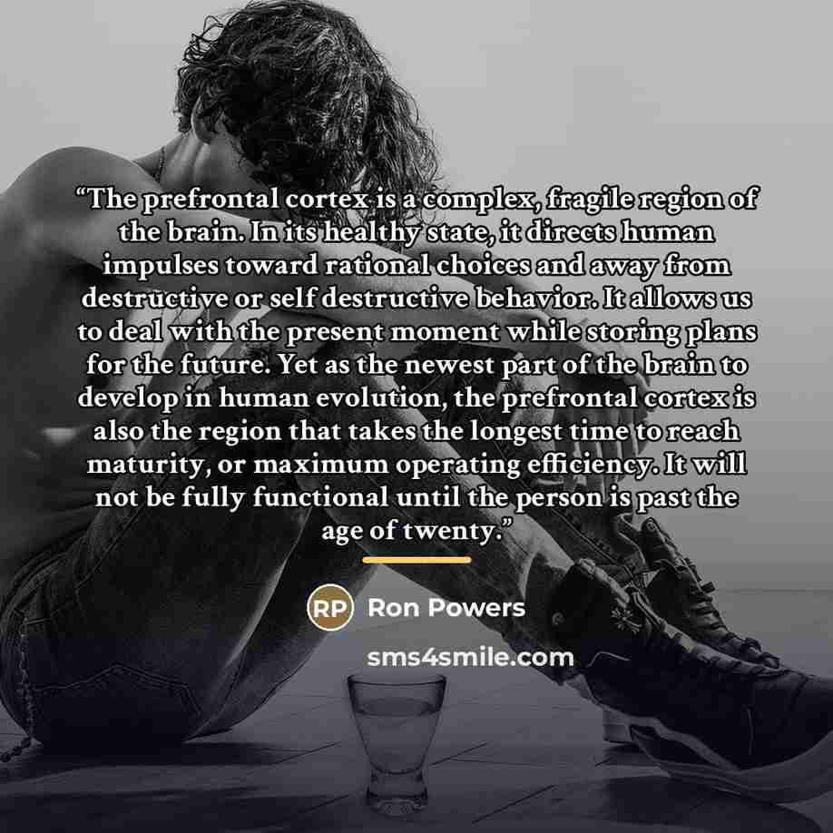 “The prefrontal cortex is a complex, fragile region of the brain. In its healthy state, it directs human impulses toward rational choices and away from destructive or self destructive behavior. It allows us to deal with the present moment while storing plans for the future. Yet as the newest part…” quote by Ron Powers