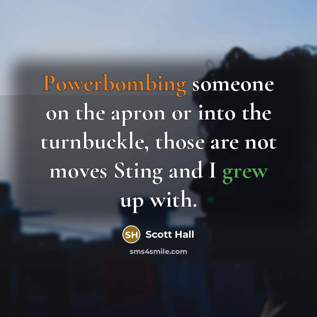 “Powerbombing someone on the apron or into the turnbuckle, those are not moves Sting and I grew up with.” quote by Scott Hall