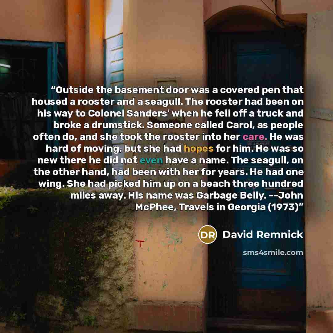 “Outside the basement door was a covered pen that housed a rooster and a seagull. The rooster had been on his way to Colonel Sanders' when he fell off a truck and broke a drumstick. Someone called Carol, as people often do, and she took the rooster into her care. He was hard of moving, but she had…” quote by David Remnick