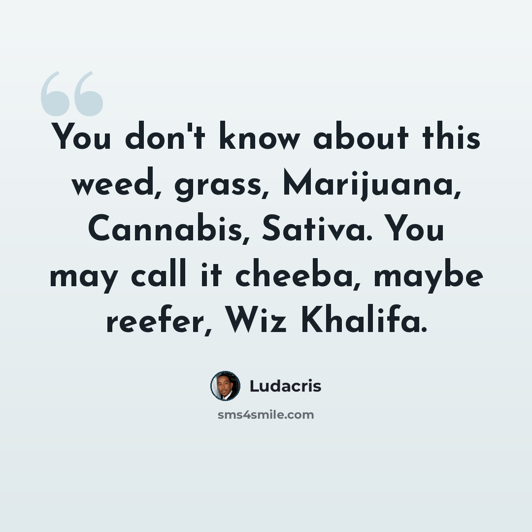 “You don't know about this weed, grass, Marijuana, Cannabis, Sativa. You may call it cheeba, maybe reefer, Wiz Khalifa.” quote by Ludacris