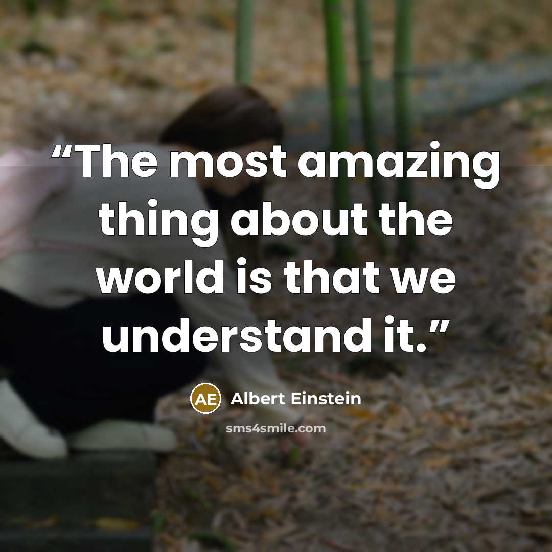 “The most amazing thing about the world is that we understand it.” quote by Albert Einstein