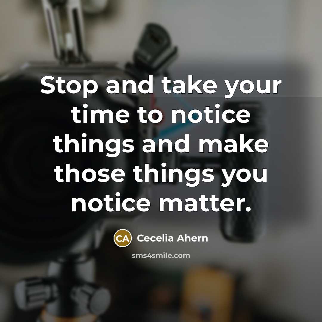 “Stop and take your time to notice things and make those things you notice matter.” quote by Cecelia Ahern