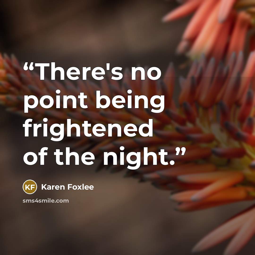 “There's no point being frightened of the night.” quote by Karen Foxlee