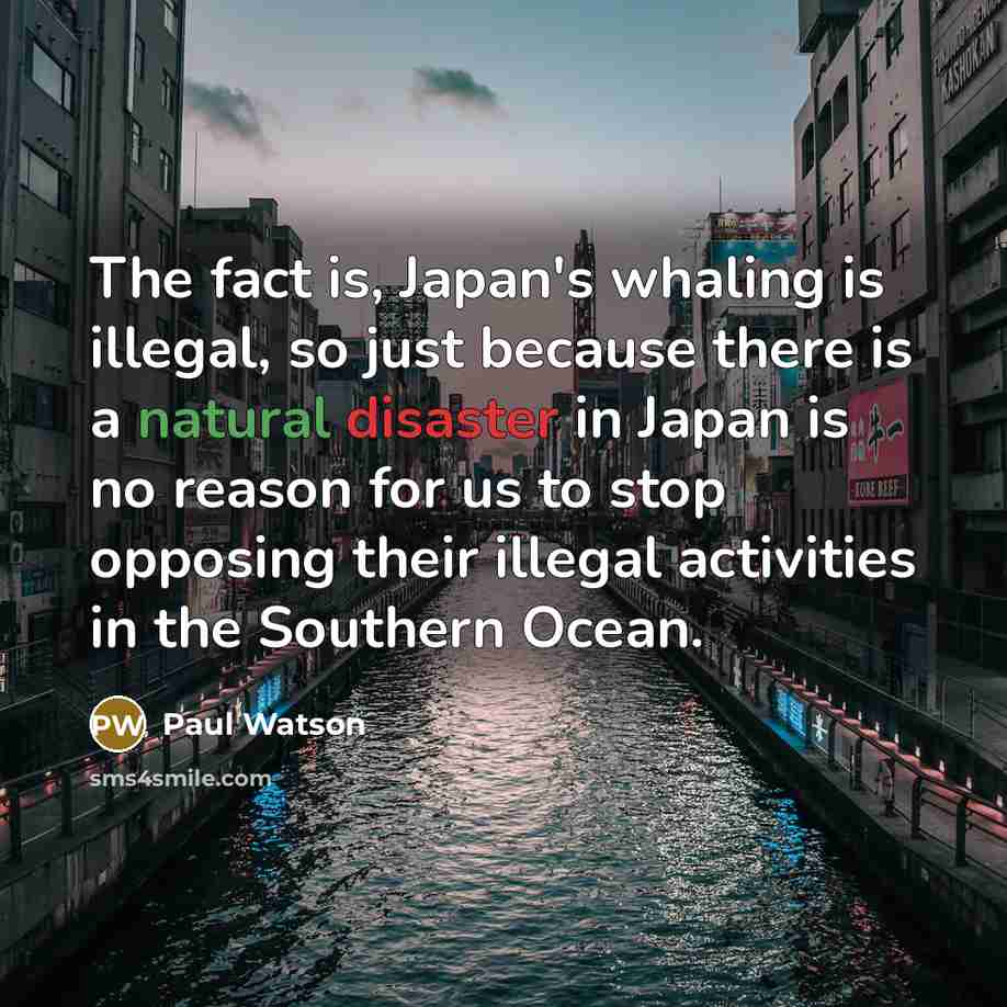 “The fact is, Japan's whaling is illegal, so just because there is a natural disaster in Japan is no reason for us to stop opposing their illegal activities in the Southern Ocean.” quote by Paul Watson