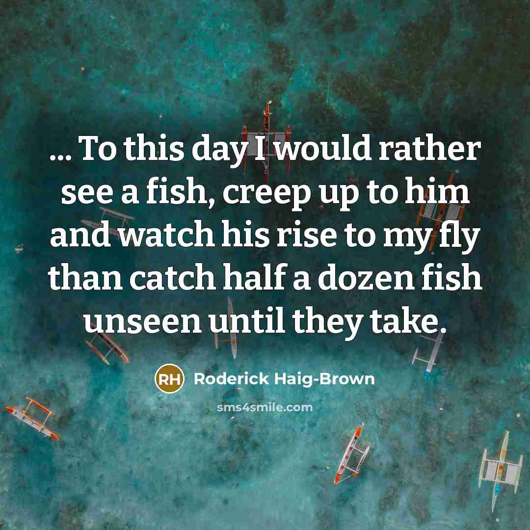 “... To this day I would rather see a fish, creep up to him and watch his rise to my fly than catch half a dozen fish unseen until they take.” quote by Roderick Haig-Brown