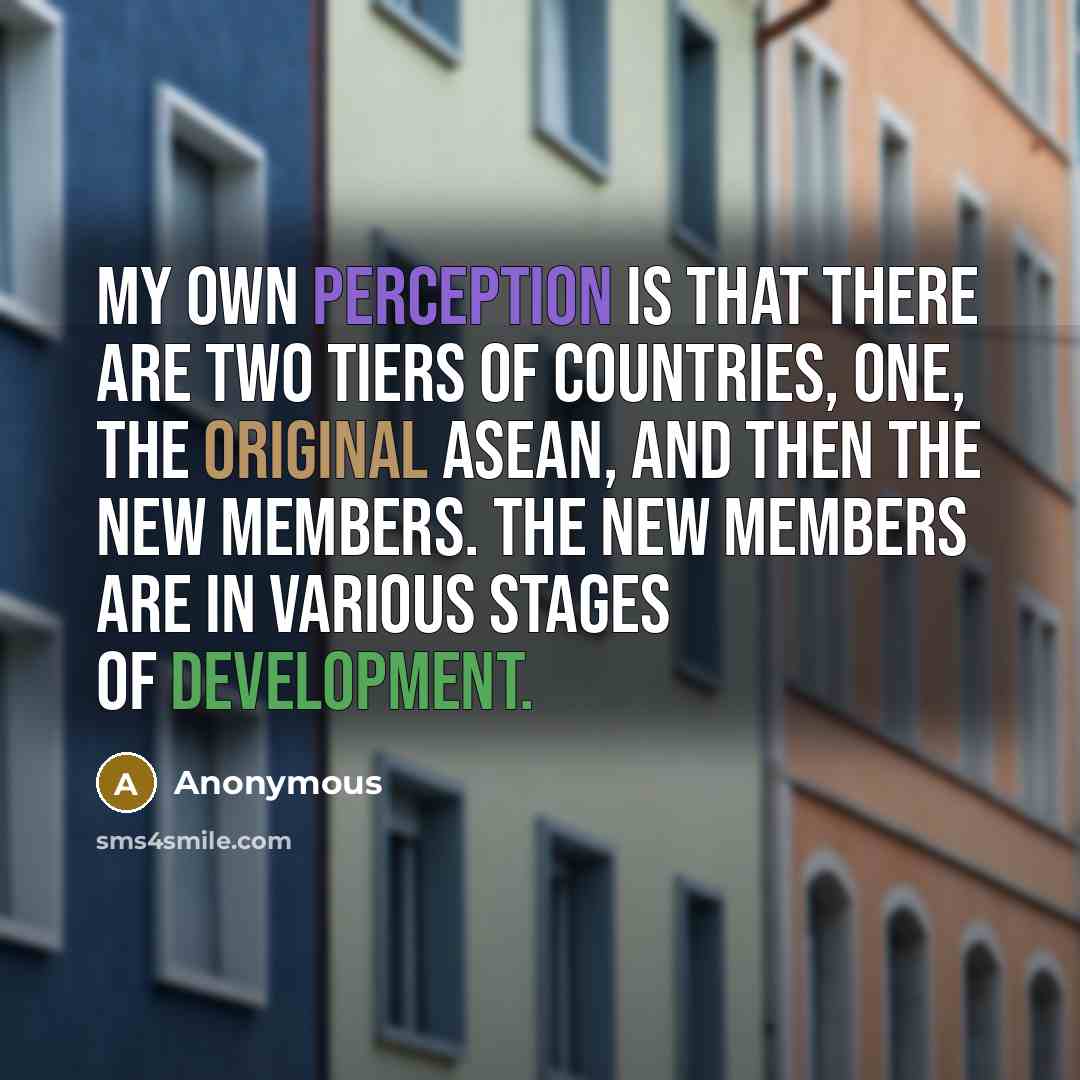 “My own perception is that there are two tiers of countries, one, the original ASEAN, and then the new members. The new members are in various stages of development.” quote by Anonymous