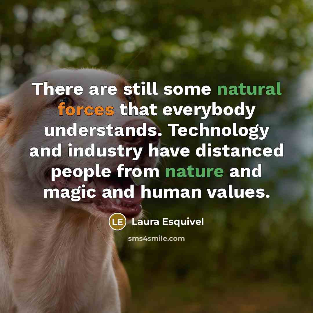 “There are still some natural forces that everybody understands. Technology and industry have distanced people from nature and magic and human values.” quote by Laura Esquivel