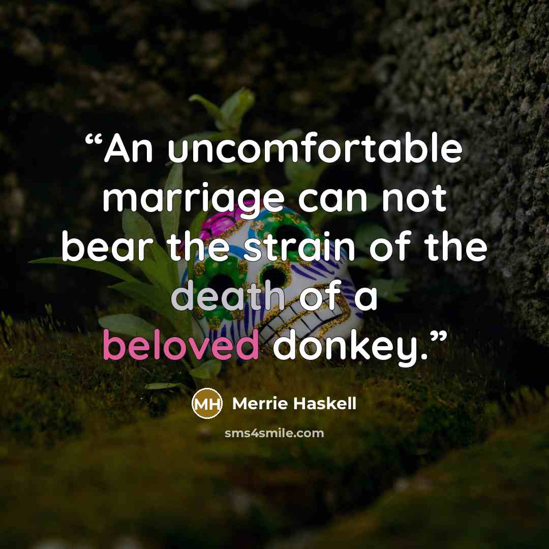 “An uncomfortable marriage can not bear the strain of the death of a beloved donkey.” quote by Merrie Haskell