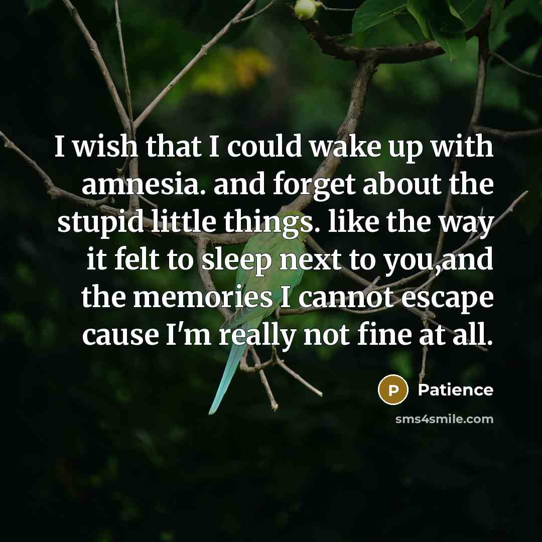 “I wish that I could wake up with amnesia. and forget about the stupid little things. like the way it felt to sleep next to you,and the memories I cannot escape cause I'm really not fine at all.” quote by Patience